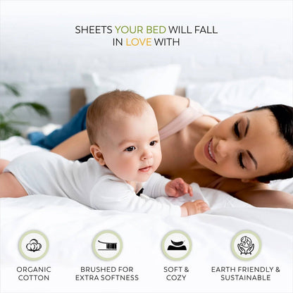 Queen size White 100-Percent Certified Organic Cotton Sheet Set